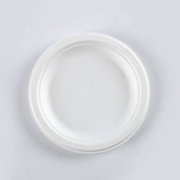 6789 inch bagasse plate006 1.jpg