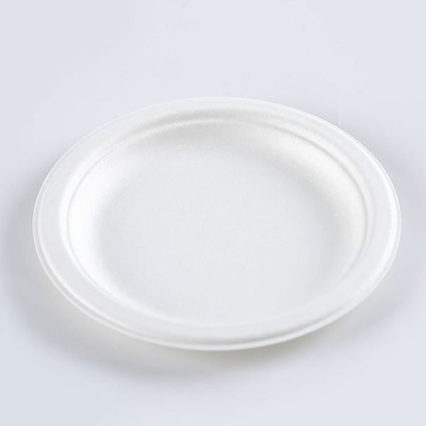 6789 inch bagasse plate007.jpg