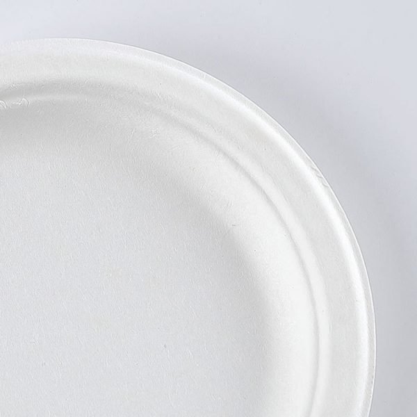 6789 inch bagasse plate008.jpg