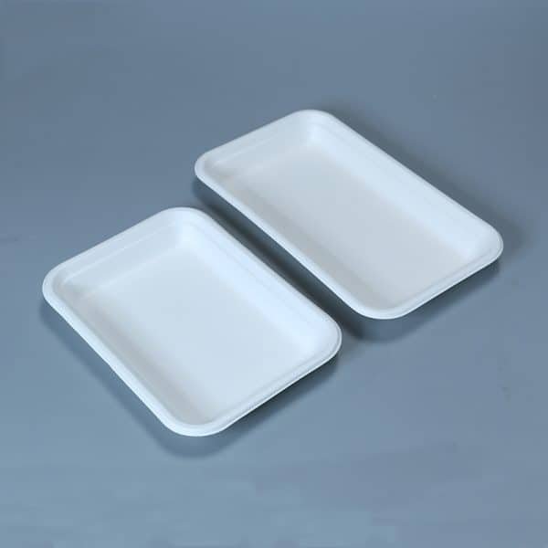 bagasse 5 c tray001 1.jpg