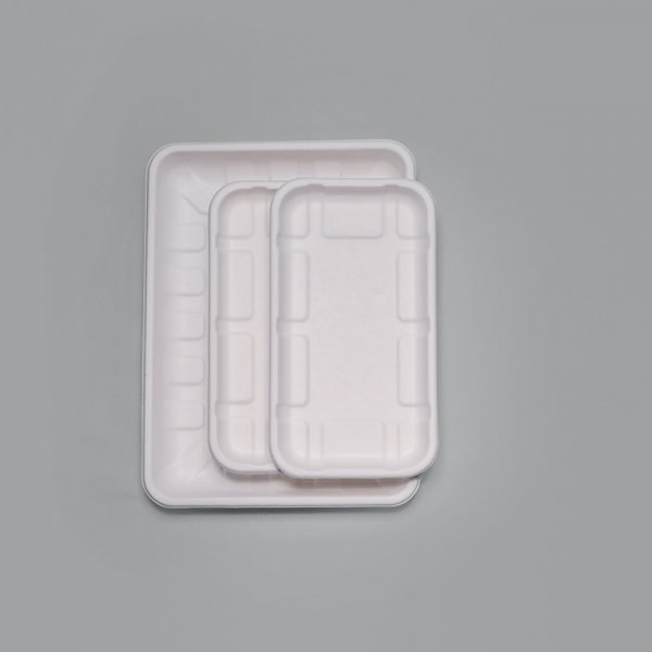 bagasse 5 c tray001 2.jpg