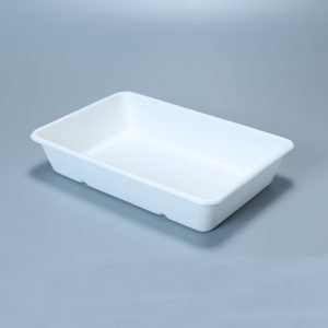 bagasse 5 c tray001 3.jpg