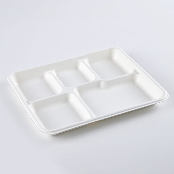 bagasse 5 c tray001.jpg