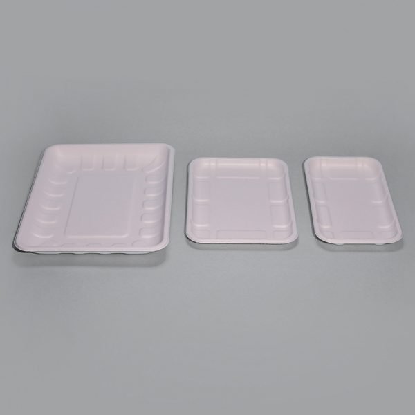 bagasse 5 c tray002 1 1.jpg