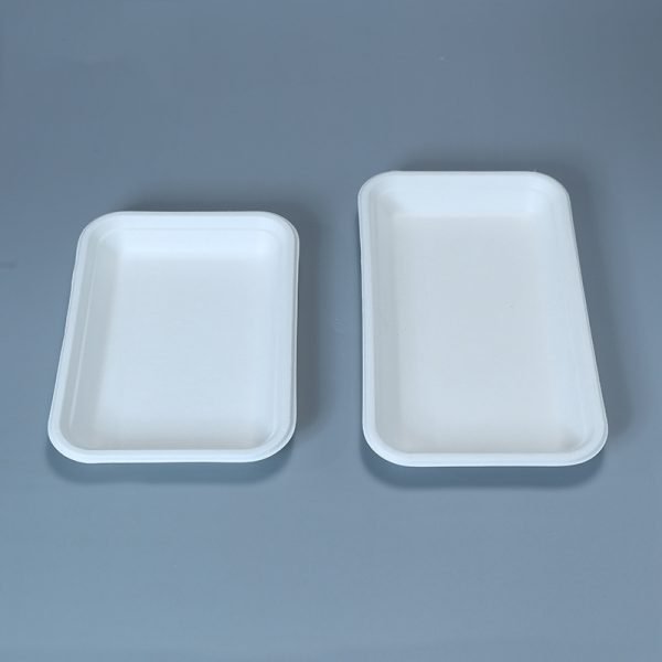 bagasse 5 c tray002 1.jpg