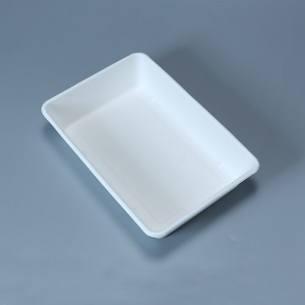 bagasse 5 c tray002 2.jpg