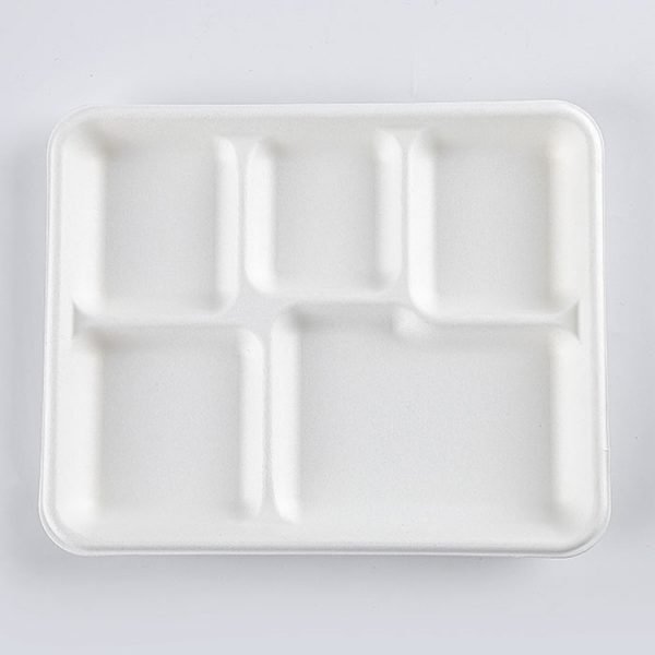 bagasse 5 c tray002.jpg