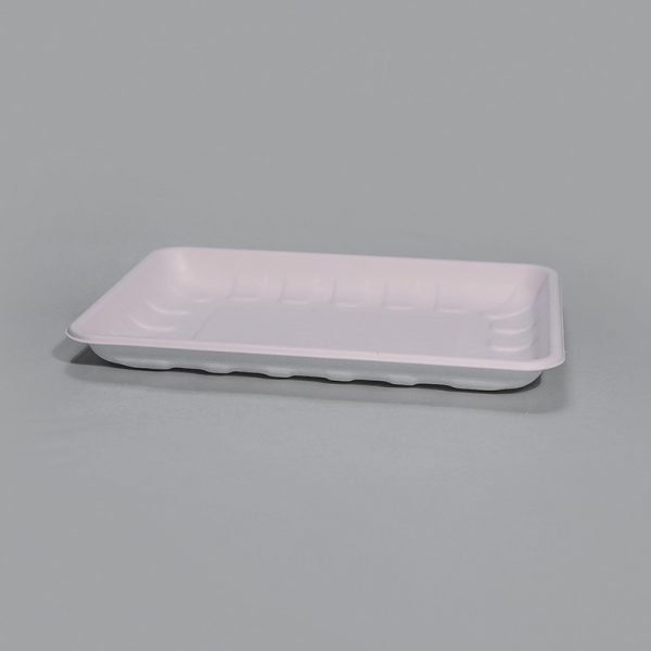 bagasse 5 c tray003 1 1.jpg