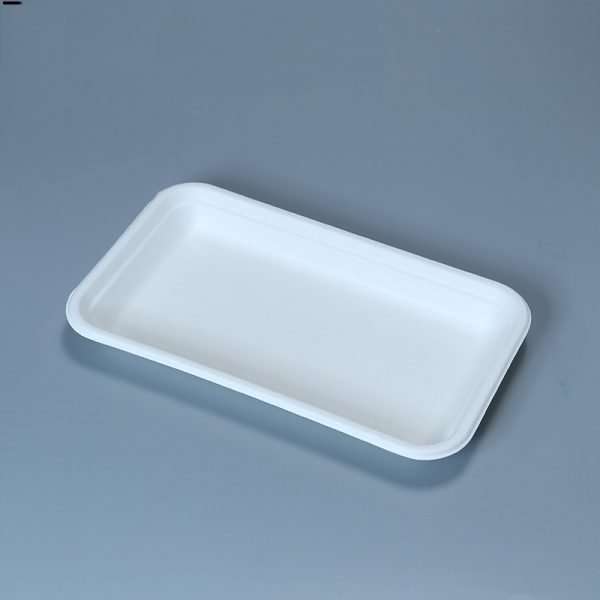 bagasse 5 c tray003 1.jpg