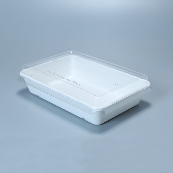 bagasse 5 c tray003 2.jpg