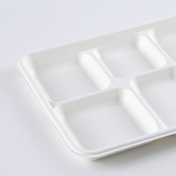 bagasse 5 c tray003.jpg