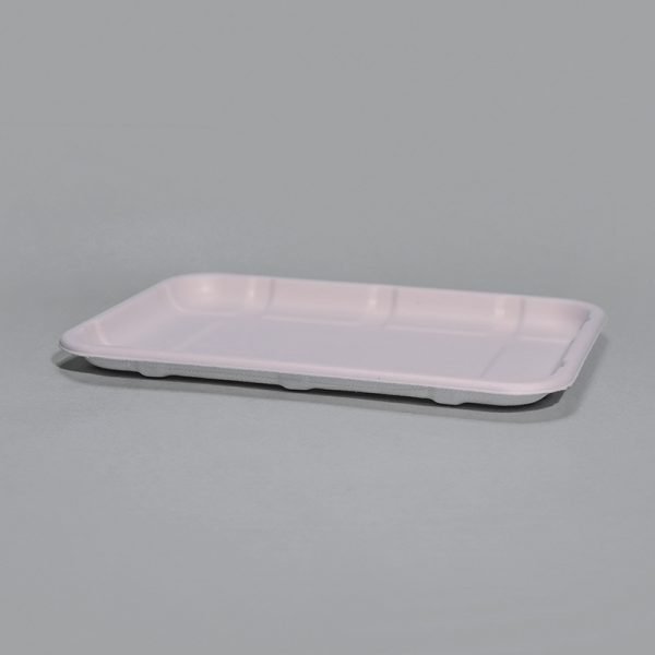 bagasse 5 c tray004 1 1.jpg