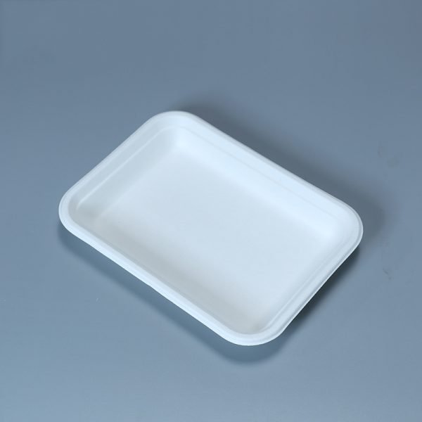 bagasse 5 c tray004 1.jpg