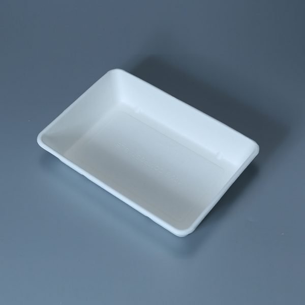 bagasse 5 c tray004 2.jpg