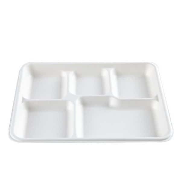 bagasse 5 c tray004.jpg