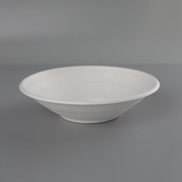 bagasse bowl001.jpg