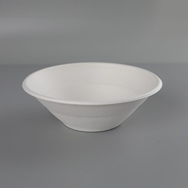 bagasse bowl002.jpg