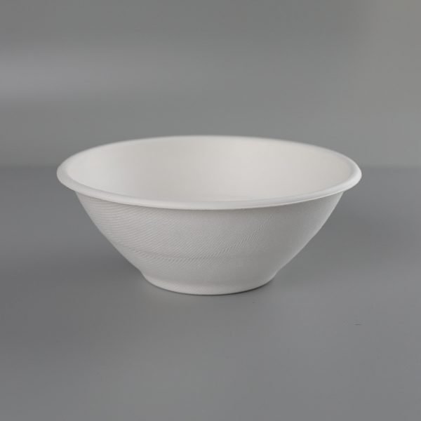 bagasse bowl003.jpg