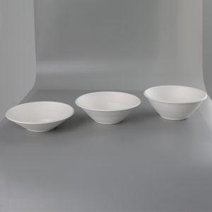 bagasse bowl004.jpg