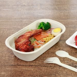 bagasse food container002 1.jpg