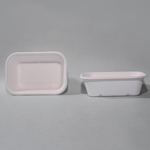 bagasse food tray001.jpg