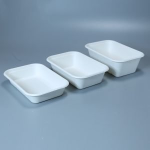 bagasse food tray002 1.jpg