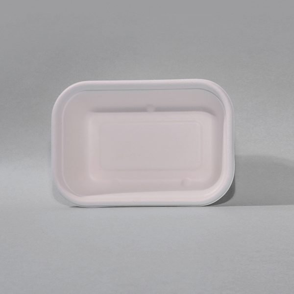 bagasse food tray002.jpg