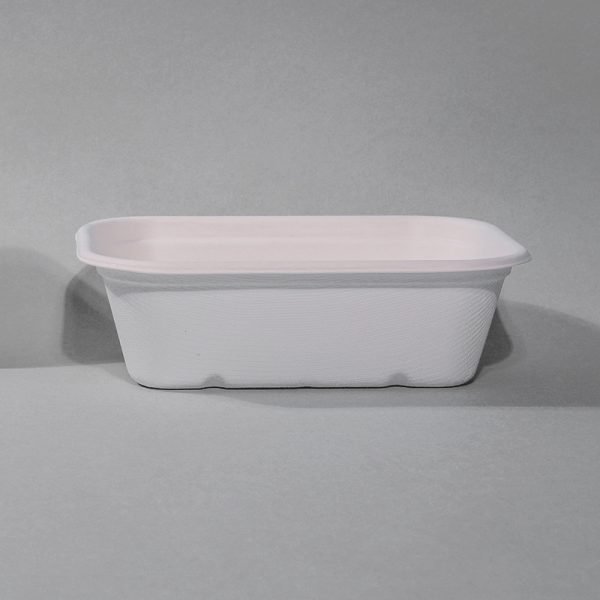 bagasse food tray003.jpg