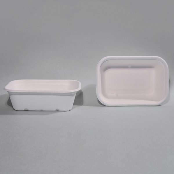 bagasse food tray004.jpg