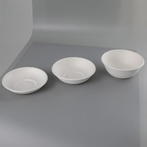 bagasse ou bowl004.jpg