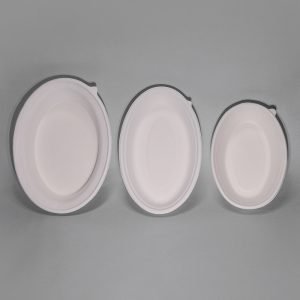 bagasse oval bowl004.jpg