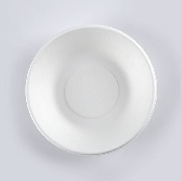 bagasse plate001 1 1.jpg