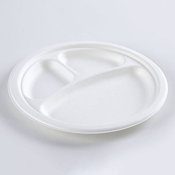 bagasse plate001 1.jpg