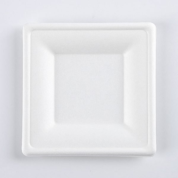 bagasse plate001 2.jpg