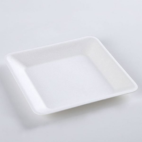 bagasse plate001 3.jpg