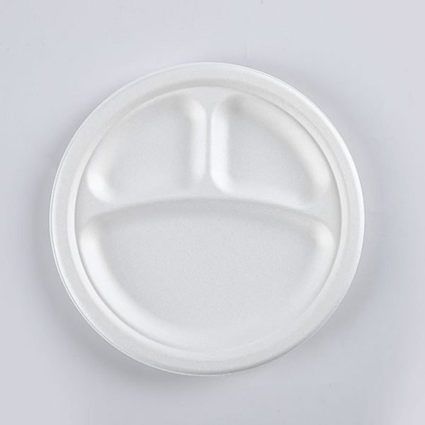 bagasse plate002 1.jpg