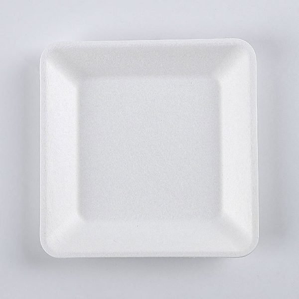 bagasse plate002 3.jpg