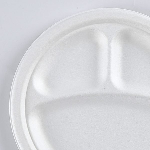 bagasse plate003 1.jpg