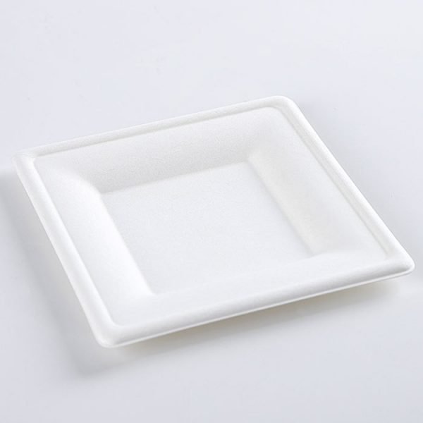 bagasse plate003 3.jpg