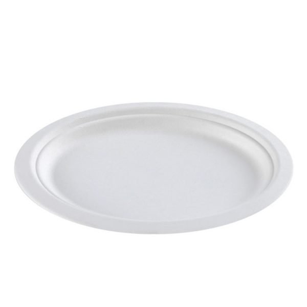 bagasse plate004 2.jpg