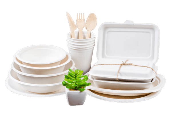 bagasse plate027 removebg preview