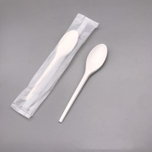 individule wrap spoon cutlery