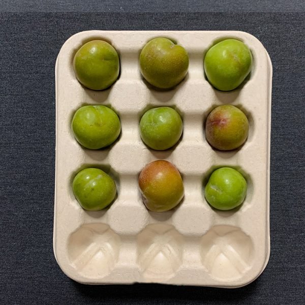 customize bagasse fruit tray bayberry trays