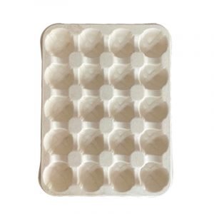 customize bagasse fruit tray bayberry trays