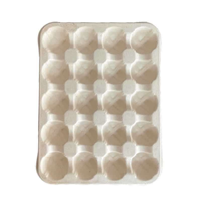 bayberry fruit tray (9)
