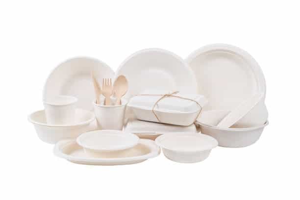 bagasse plate001