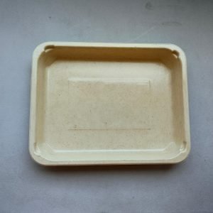 custom bagasse pla lined map trays (复制)