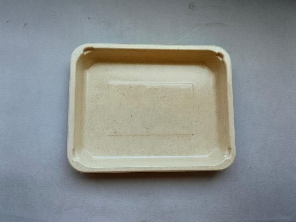 custom bagasse pla lined map trays (复制)