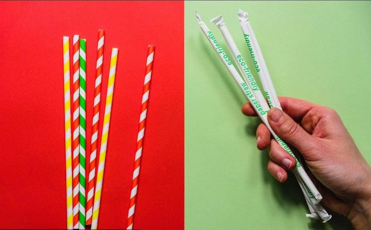 paper straws vs pla straws