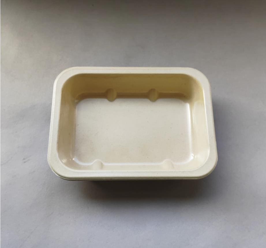 bagasse fiber laminated tray 1